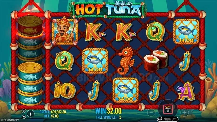 8K8 Free Spins on Popular Slots